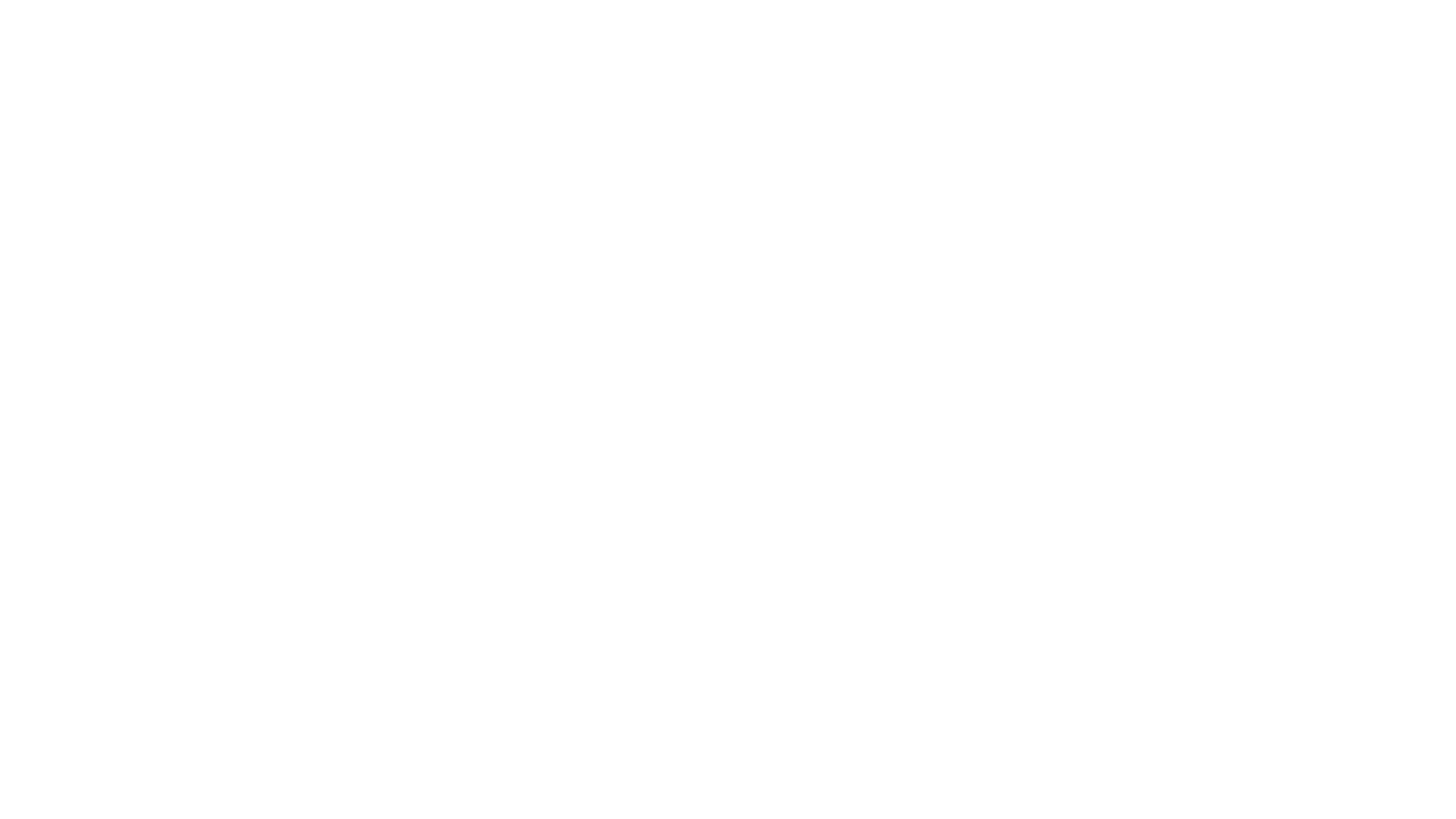 Brut_logo_White